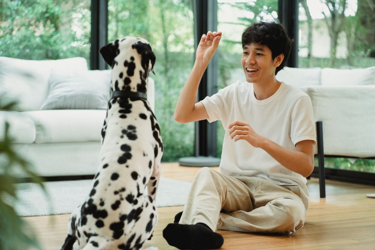 Stock photograph illustrating online tuition